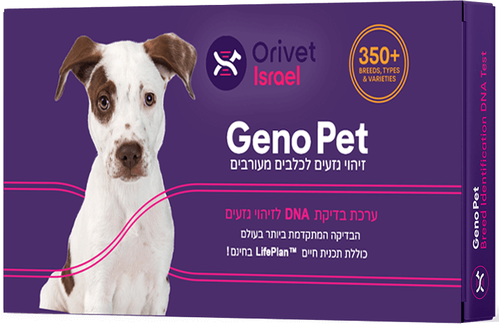בדיקת די אן אי לכלבים