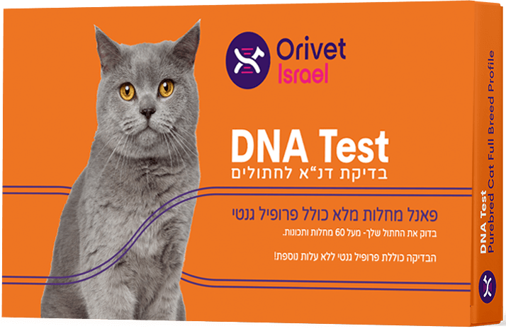 בדיקת פאנל מחלות מלא לחתולים | בדיקת מחלות לחתולים