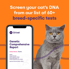 בדיקת פאנל מחלות מלא לחתולים | בדיקת מחלות לחתולים בדיקת פאנל מחלות מלא לחתולים | בדיקת מחלות לחתולים